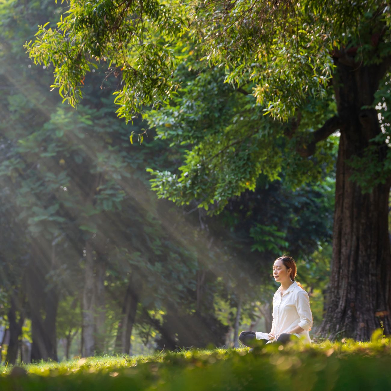 Mindfulness and therapy combined to reduce panic attacks and anxiety.